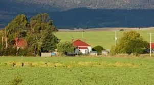 Imóveis rurais/ Fazendas/Alqueires/Loteamentos - Foto 6