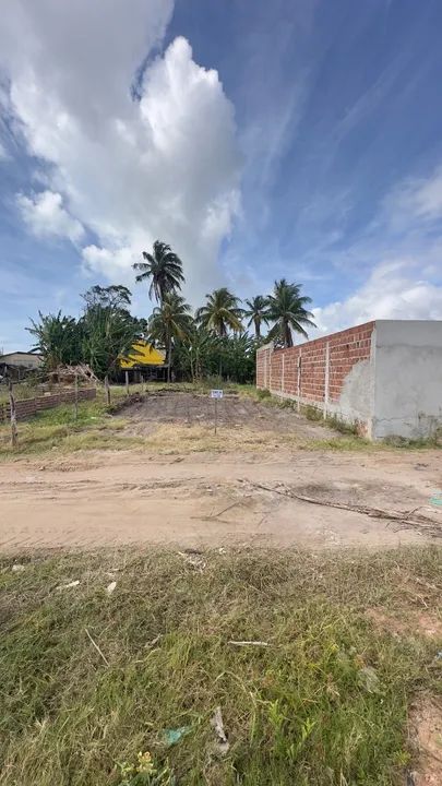 Foto - São Miguel dos Milagres - 