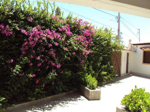 Excelente casa frentmar 4/4 Pisc, residencial , 2 dias $ 1.100,00 temporada - Foto 13
