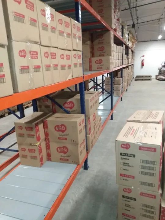 Mini Porta Pallets Usados - Foto 2