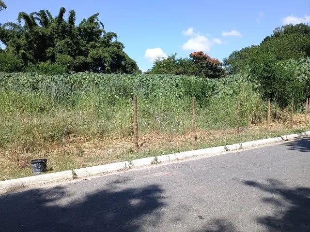 Vendo Lotes em Quatis - Pilotos  - Foto 3