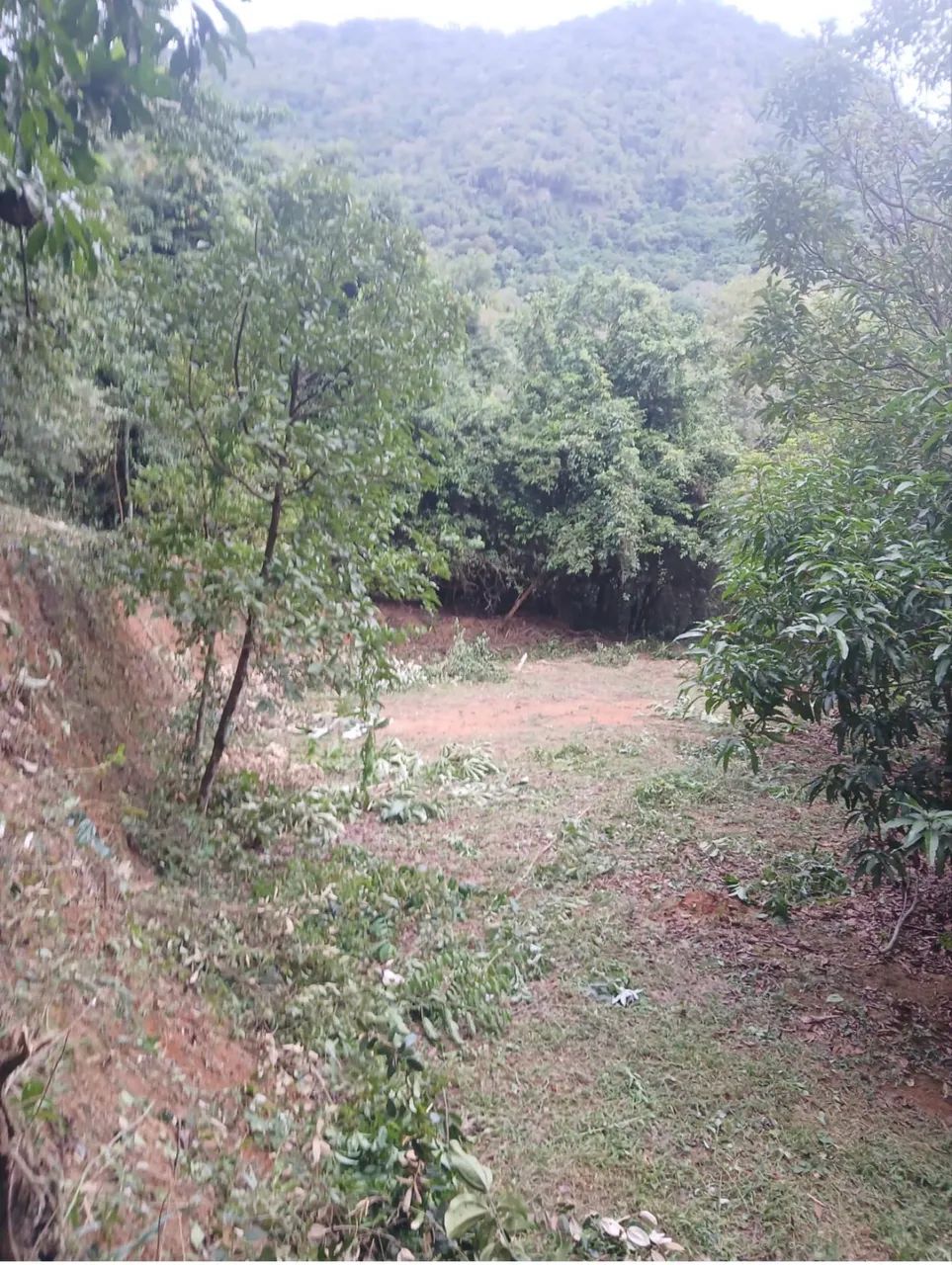 Terreno no Farao de baixo - Cachoeiras de Macacu Rj - Foto 11