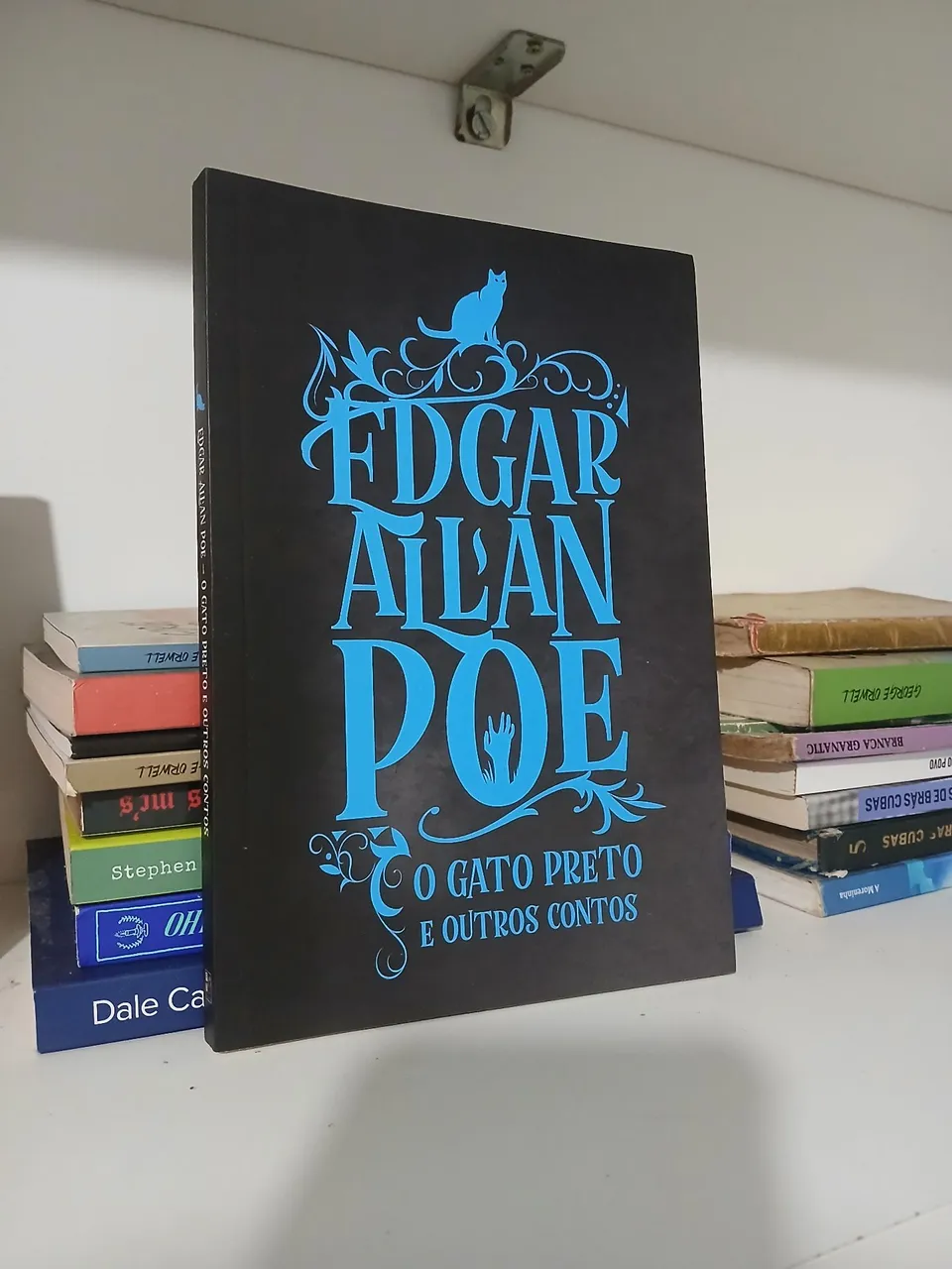 O Gato Preto e Outros Contos - Edgar Allan Poe