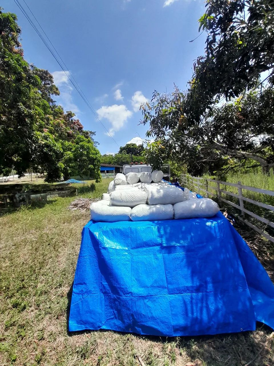 VENDO SILO BRS CAPIAÇU SILAGEM DE QUALIDADE  - Foto 2