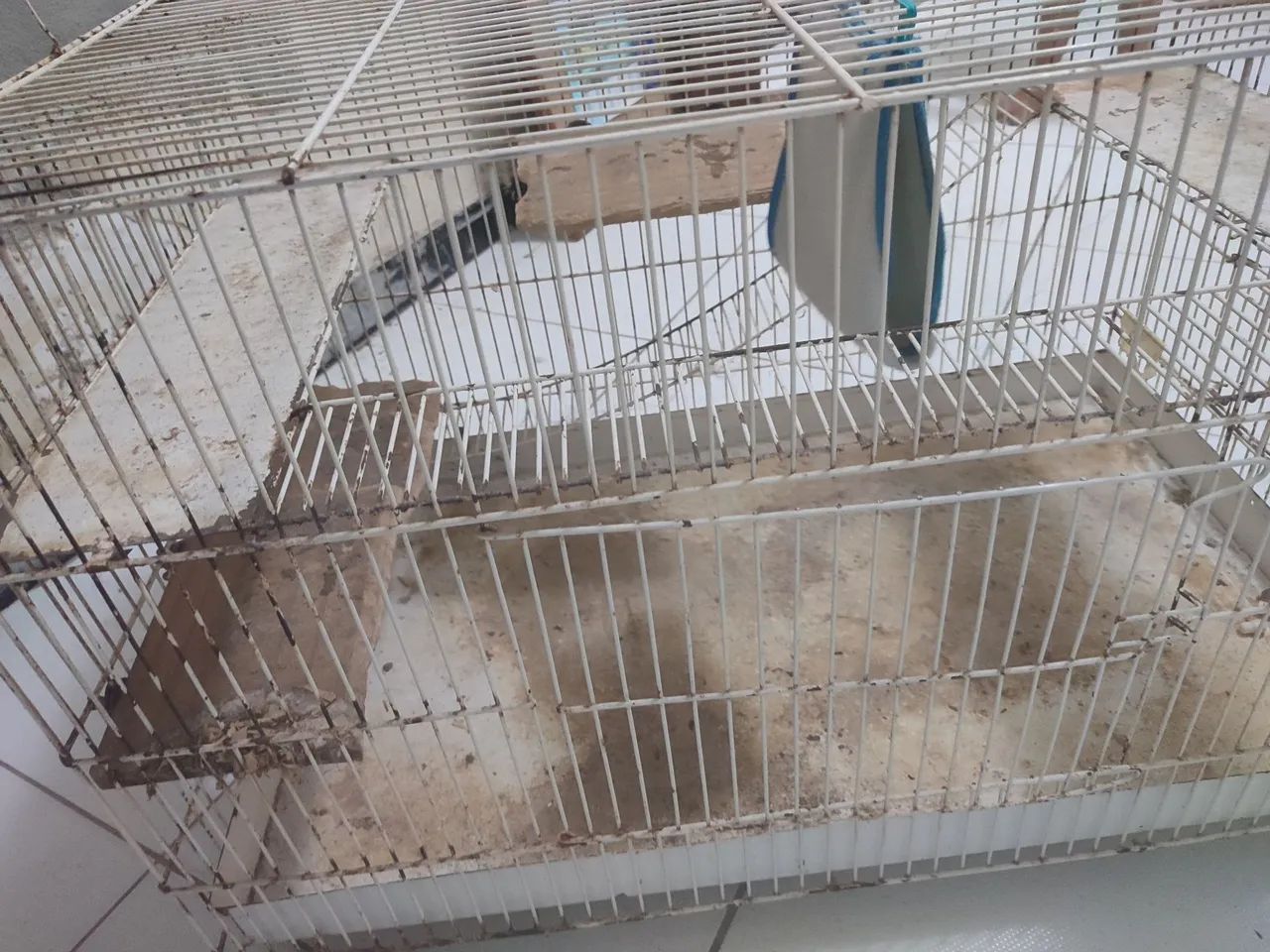 Gaiola para grandes roedores - Foto 2