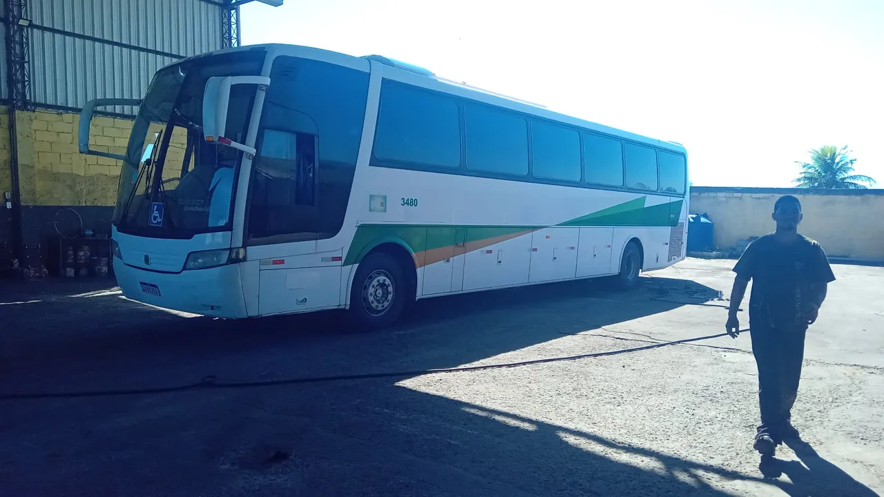 Lindo buscar