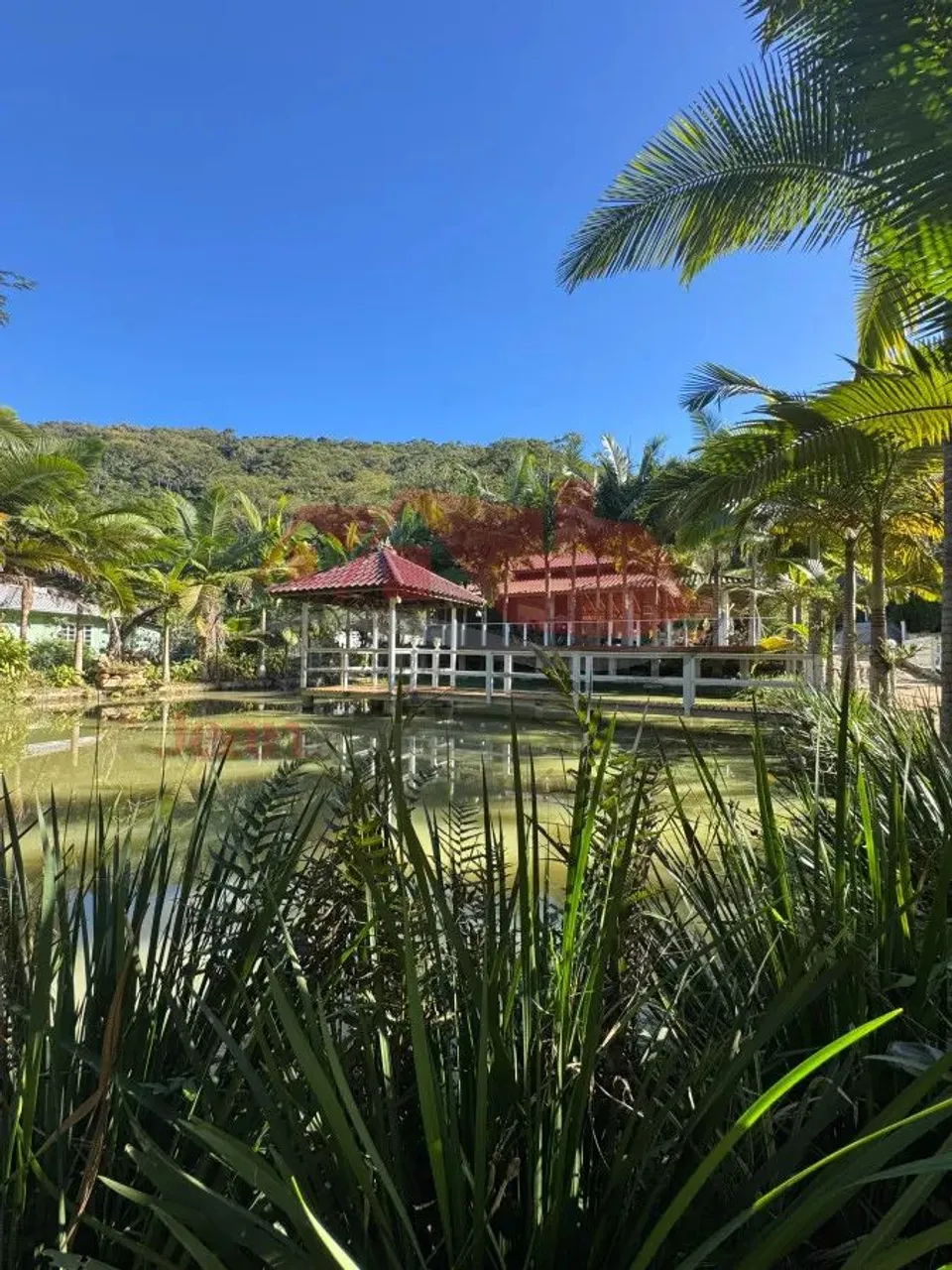Belissimo sitio em Camboriú.