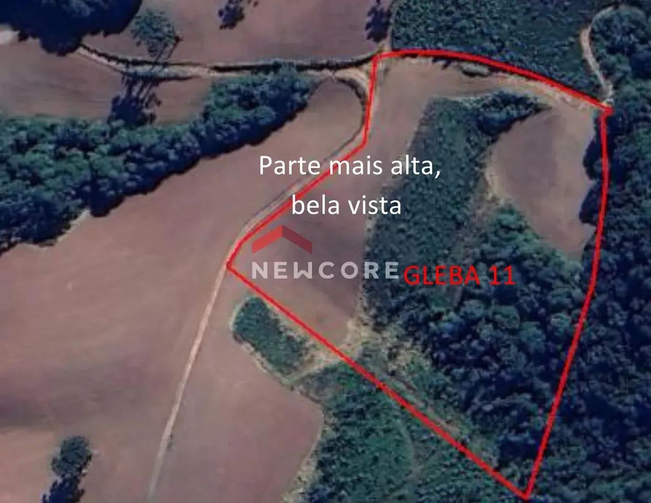 Lote em 14.000 m2 de lavoura e estrada - Bela Vista do Rodeio Santo Antônio - Campo Largo/ - Foto 2