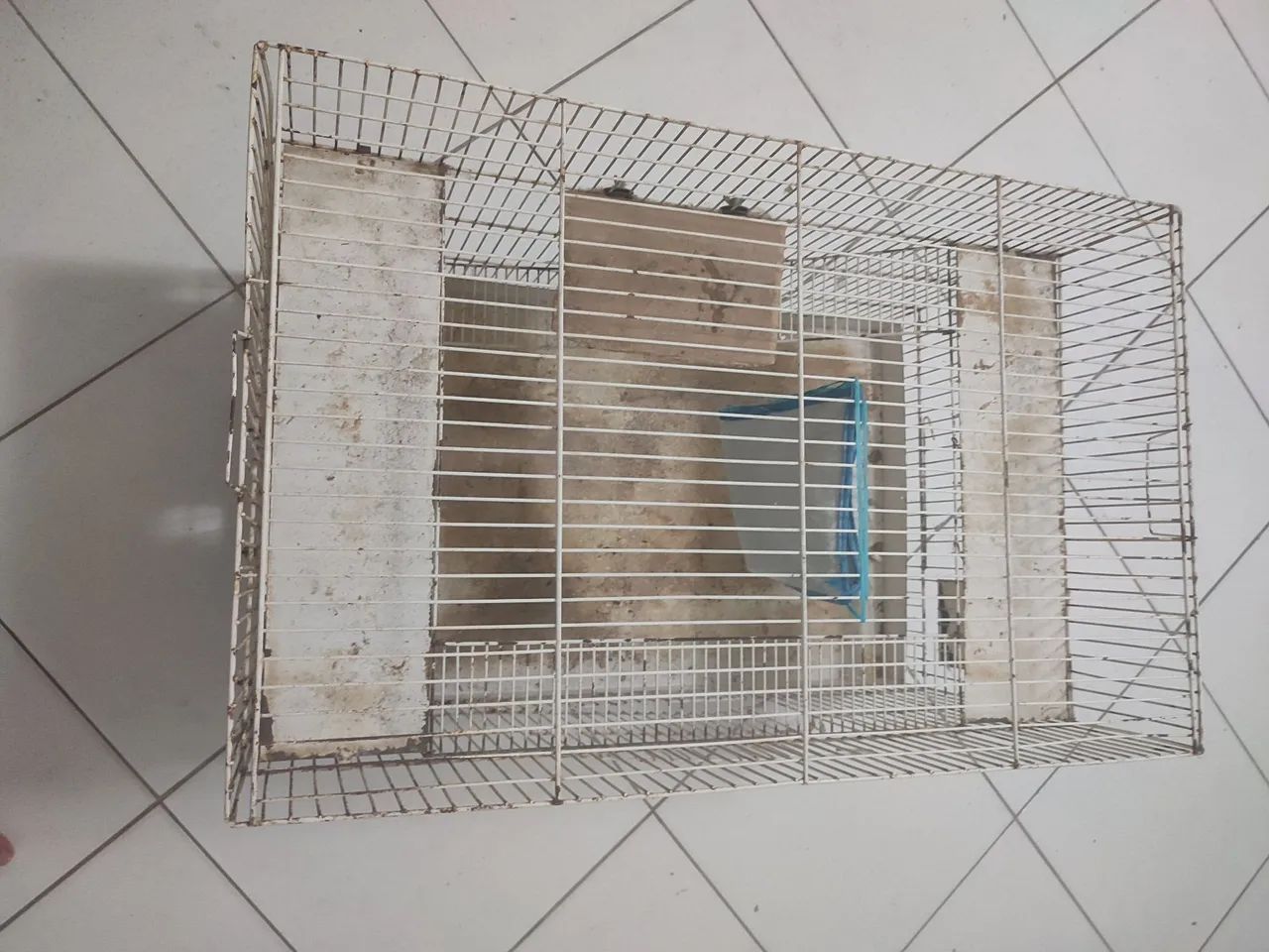Gaiola para grandes roedores - Foto 3