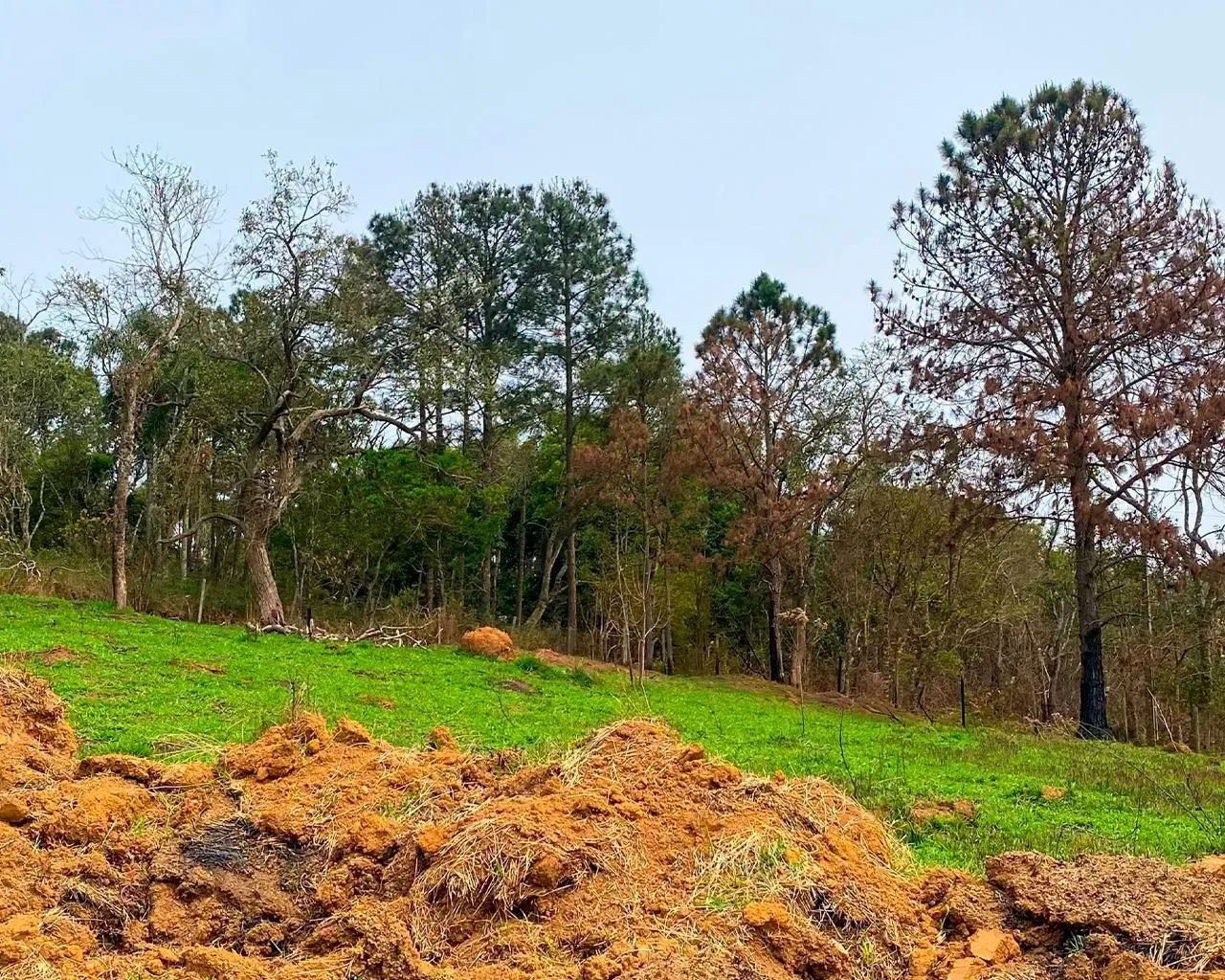 - LOTES EM IBIUNA DIVISA COM SÃO ROQUE - Foto 6
