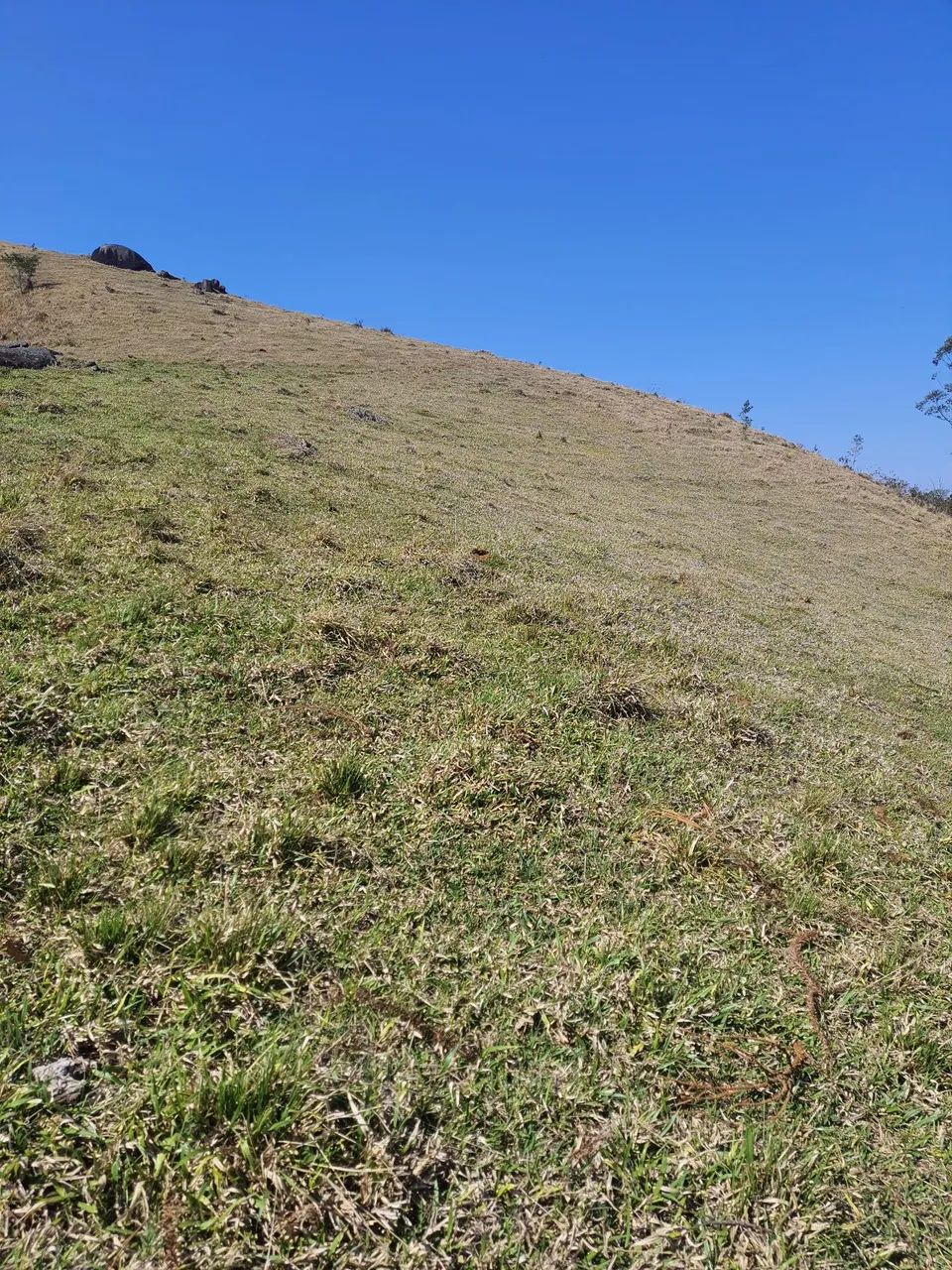 Terreno em São Francisco Xavier - Foto 9