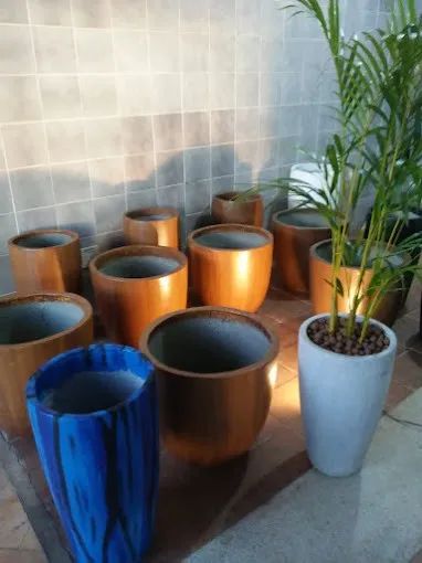 vasos e plantas - Foto 4