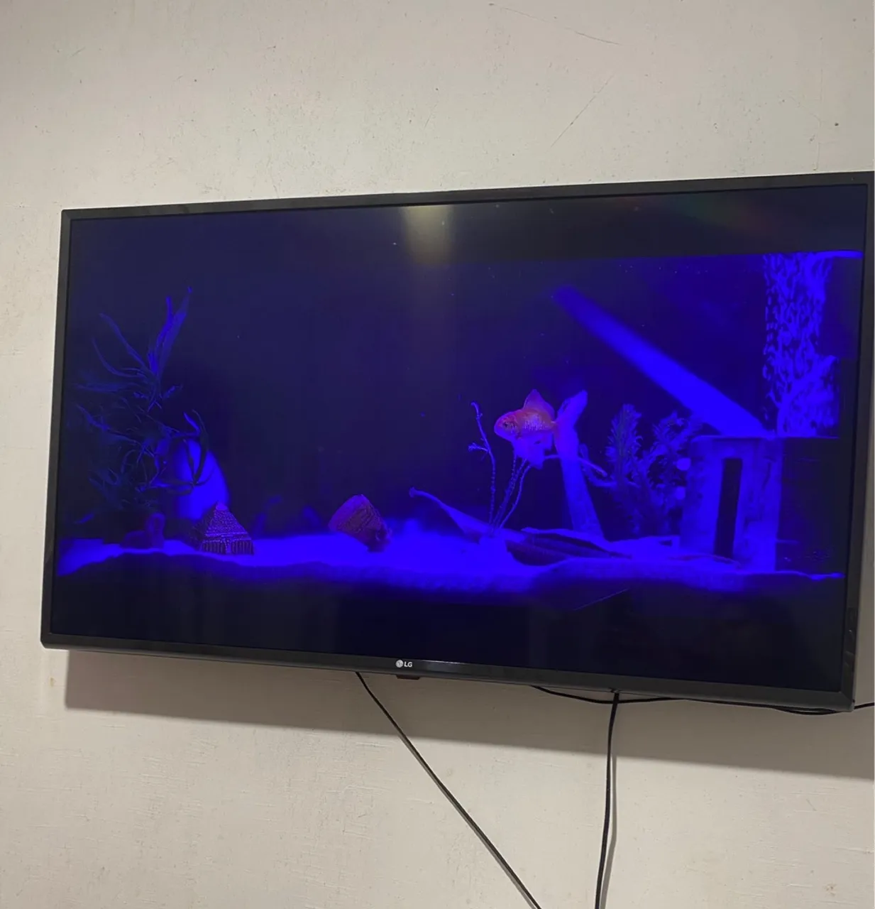 TV LG com Imagem de Aquário