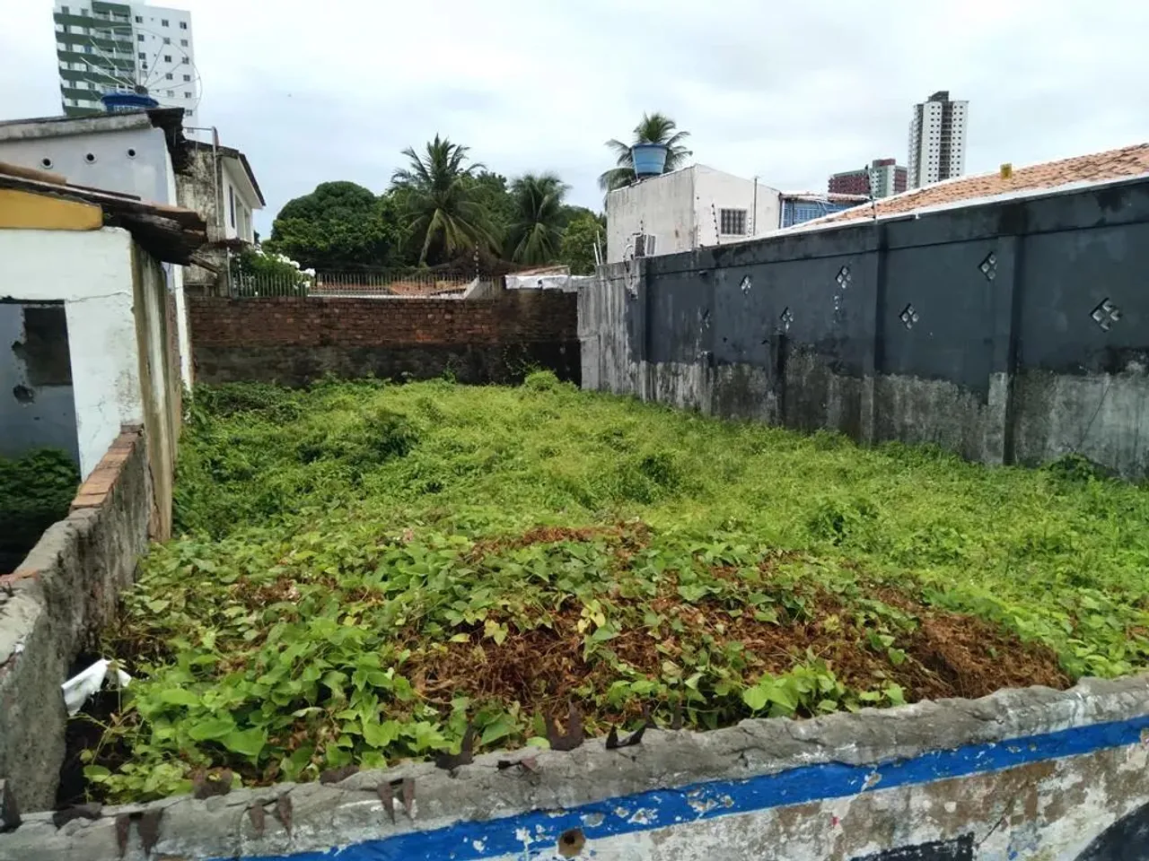 Terreno para aluguel, venda, Estados, João Pessoa - 24754