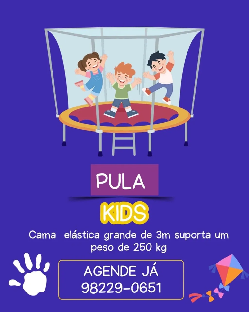 Pula Pula Kids - Cama Elástica 3m!