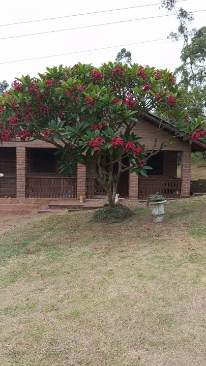 Linda chácara de 1 hectare em Parobé-RS - Foto 11