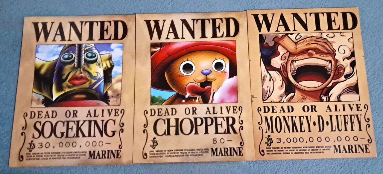 Quadros de madeira one piece R$20 cada