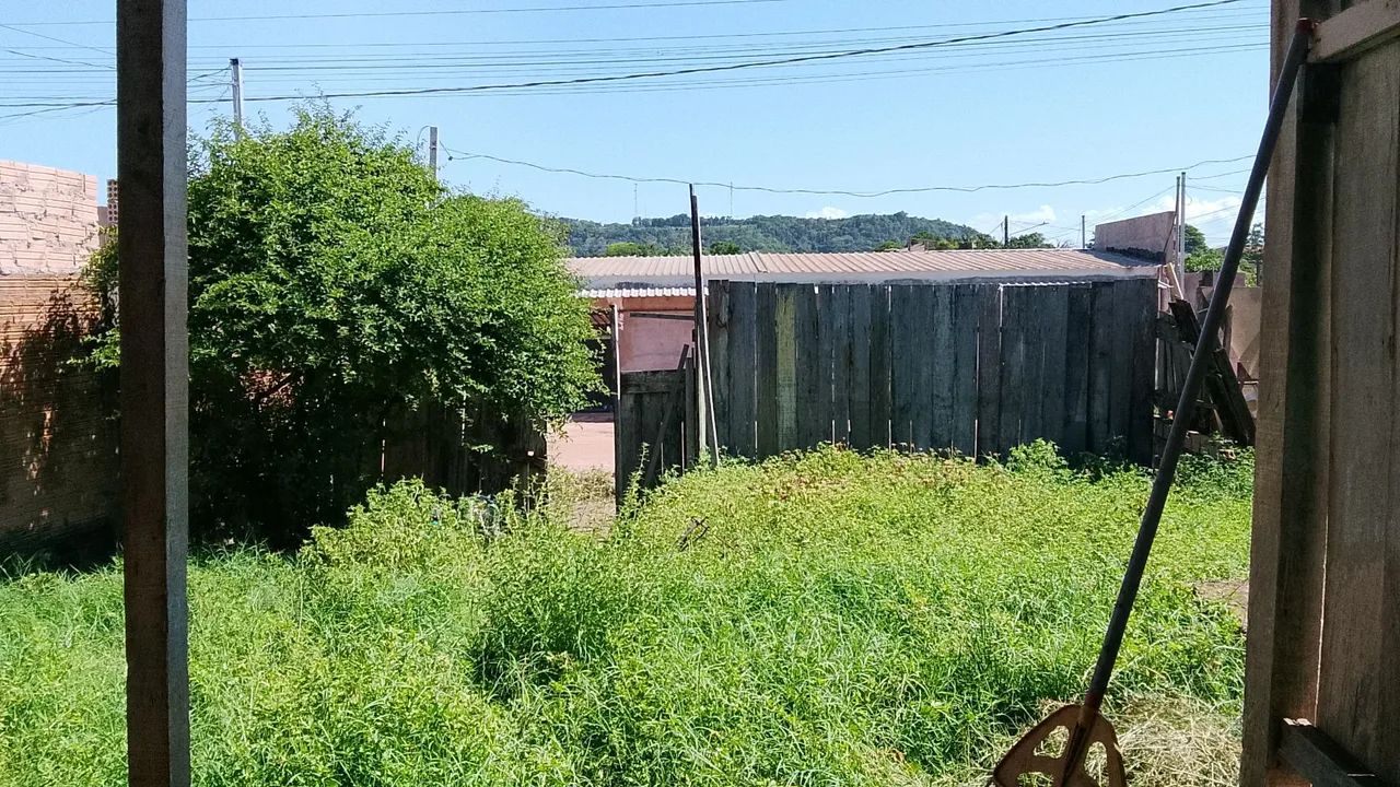 Limpeza de terrenos...