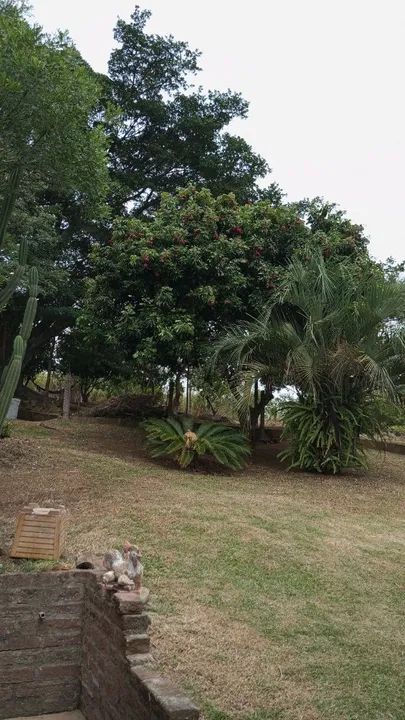 Linda chácara de 1 hectare em Parobé-RS - Foto 9