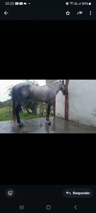 Vendo ou troco   - Foto 2