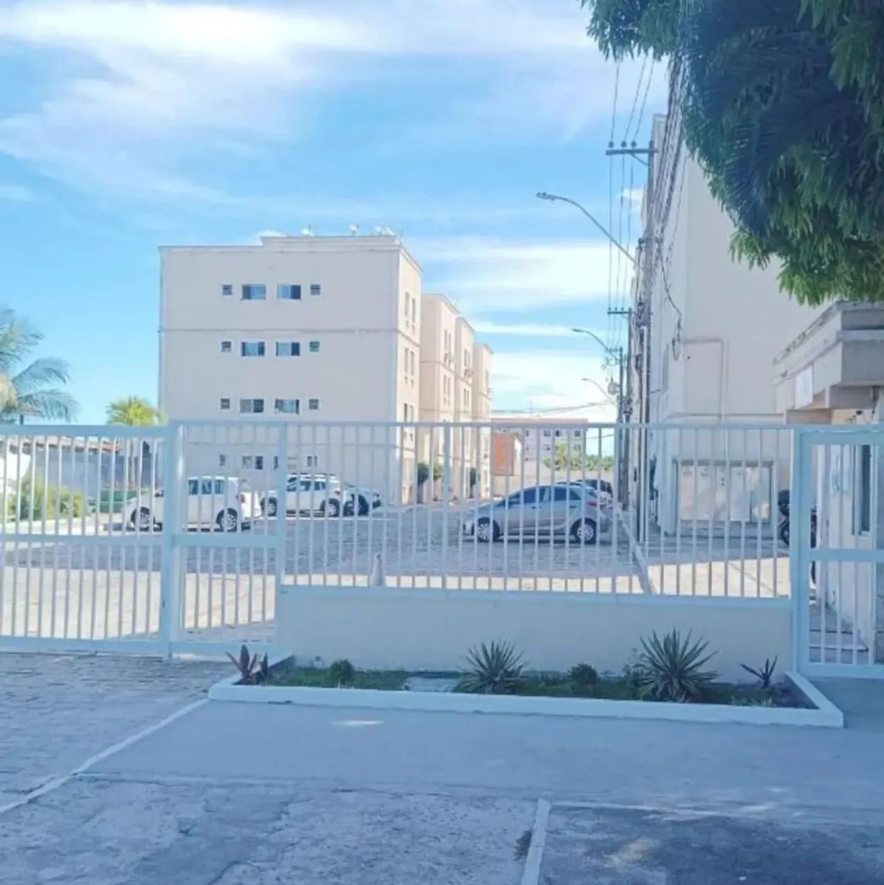 Foto - Salvador - Jardim das Margaridas