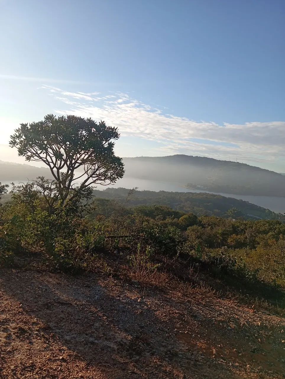 Terreno na várzea das flores  - Foto 3