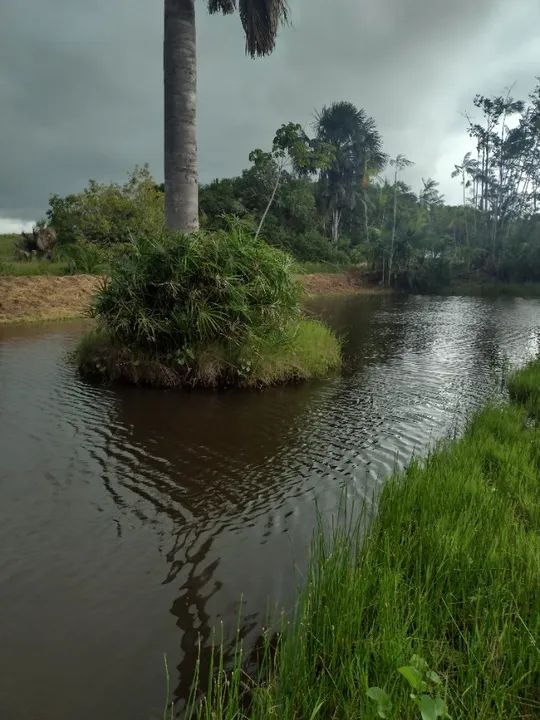Sítio em Aurora do Pará com 11.000 metros quadrados. - Foto 9