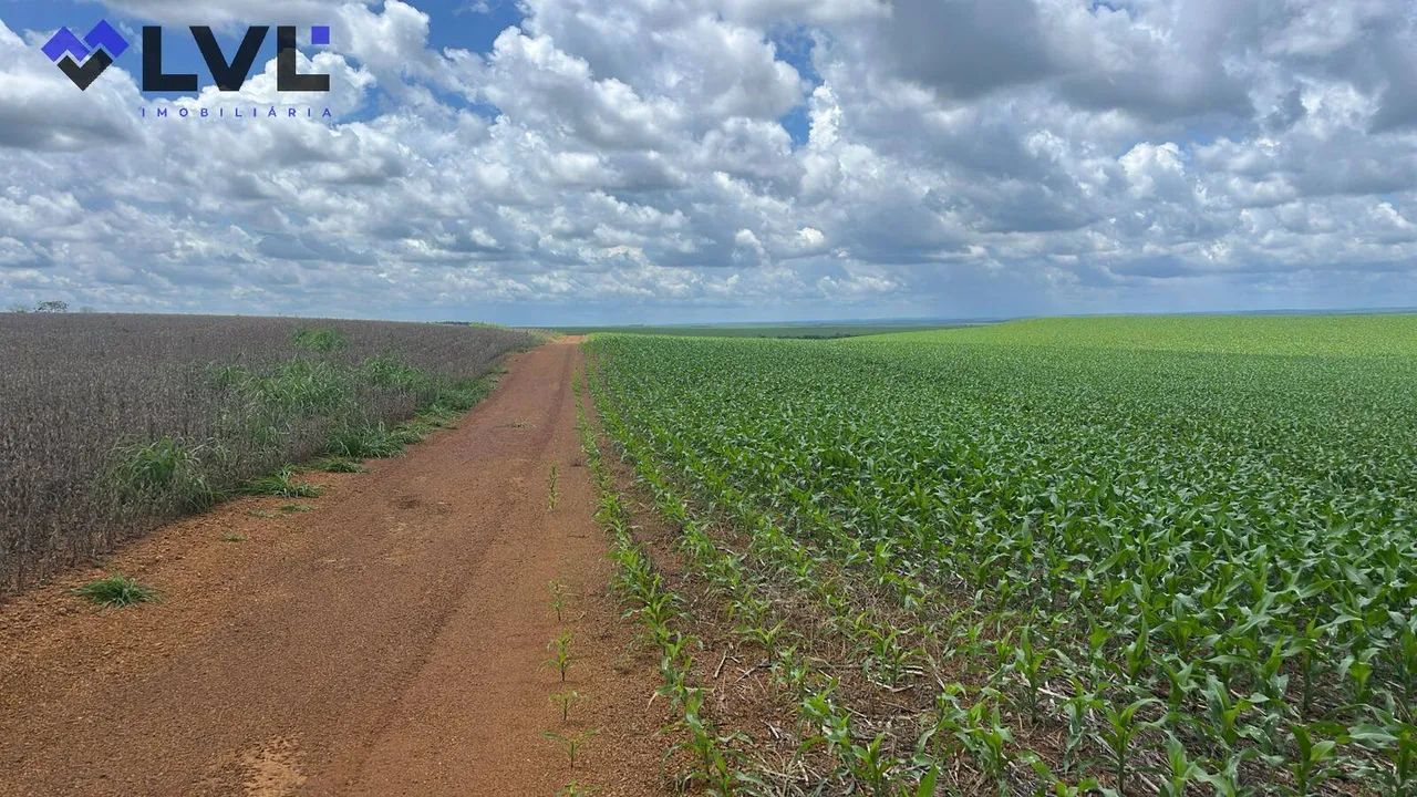 FAZENDA À VENDA  PEDRO AFONSO/TO | 607 alqueires - Foto 4