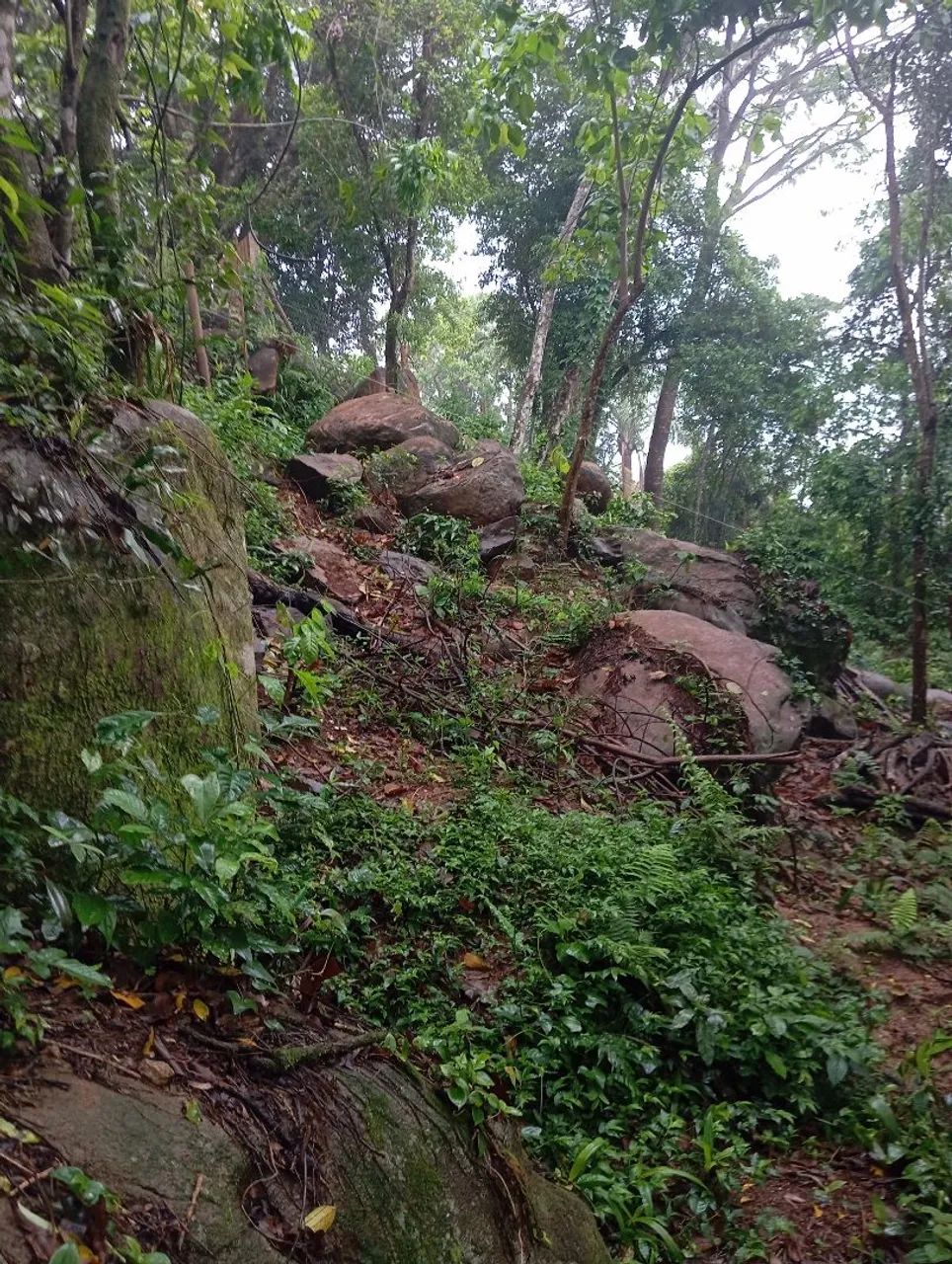 Lindo terreno em Garopaba com vista com escritura  - Foto 2