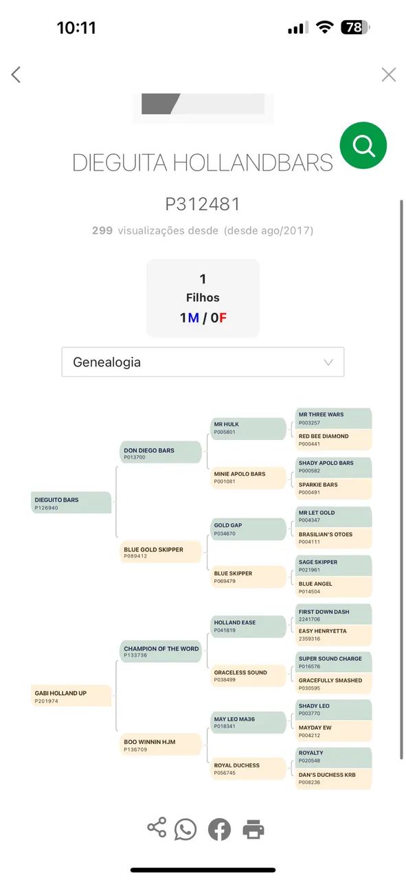 Égua Quarto De Milha PO de esteira  - Foto 4