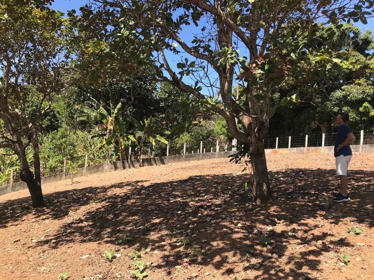 Terreno em Mulungu - Foto 2