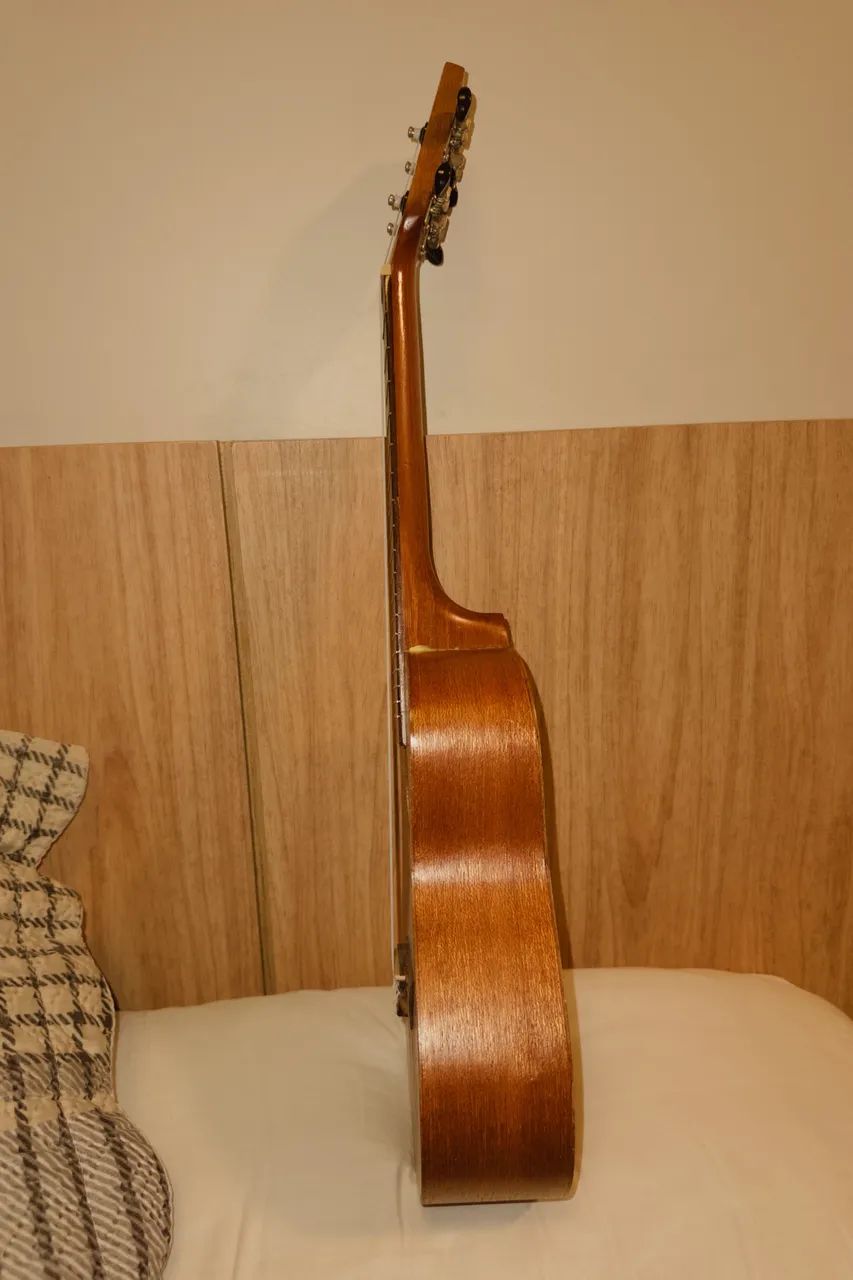 Ukulele (concert) 