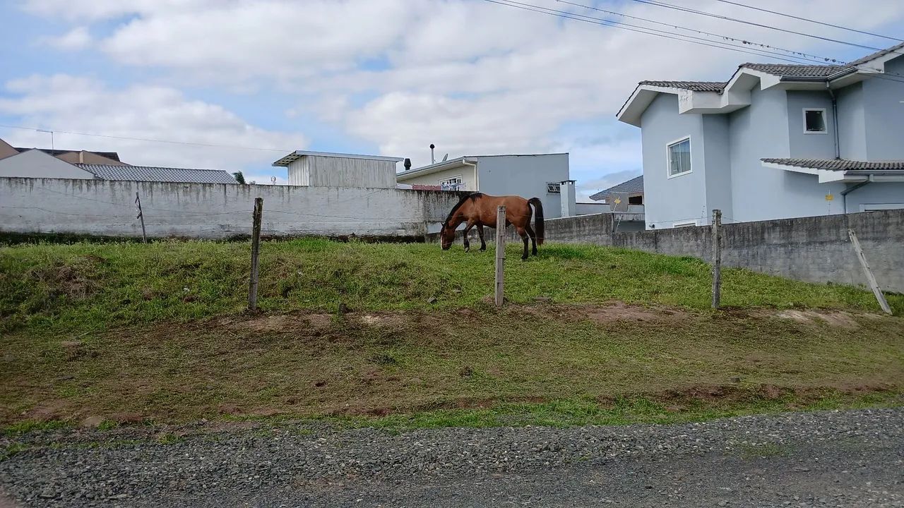 Terreno a venda em lages - Foto 3