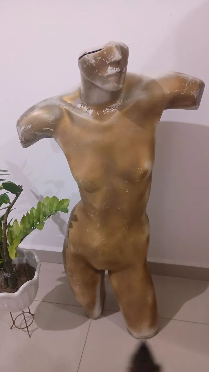 Manequim feminino  - Foto 3