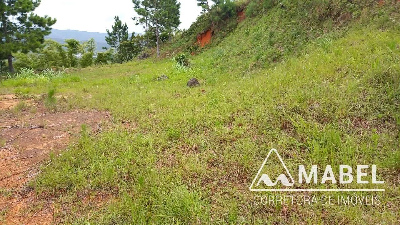 Terreno Lote - Palhocinha - Foto 5