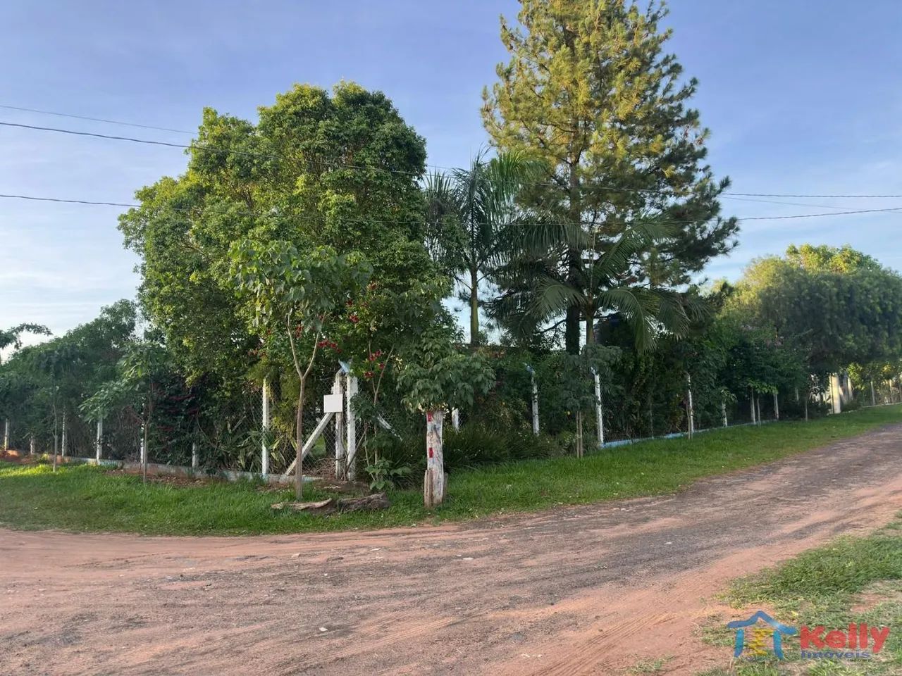 Chácara para Venda em Álvares Machado / SP no bairro Chácara Cantinho da Tita - Foto 6