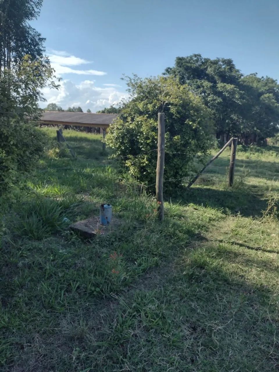 Sítio a venda direto com  proprietário  - Foto 4