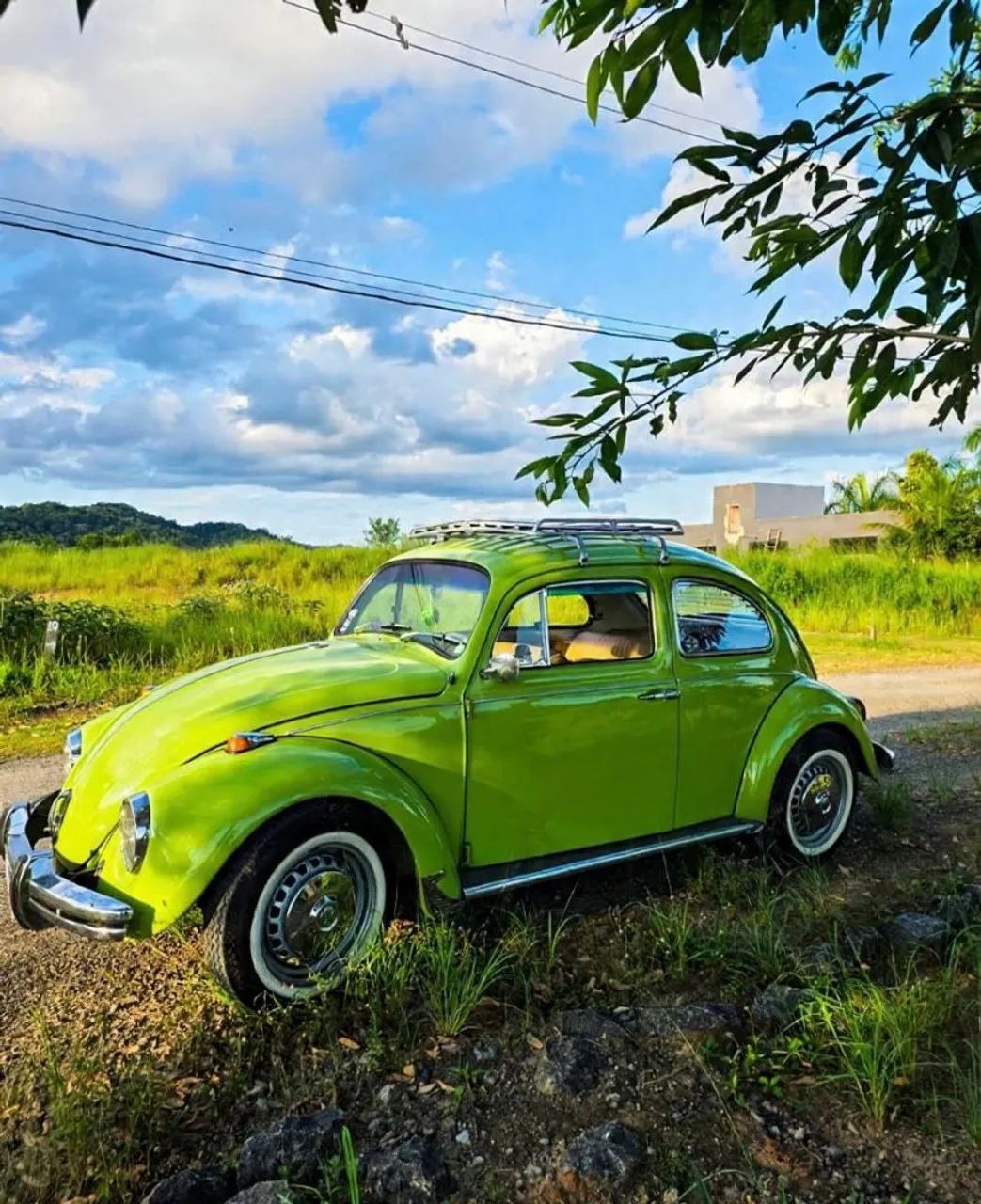 Volkswagen Fusca Fusca (gasolina) 1973