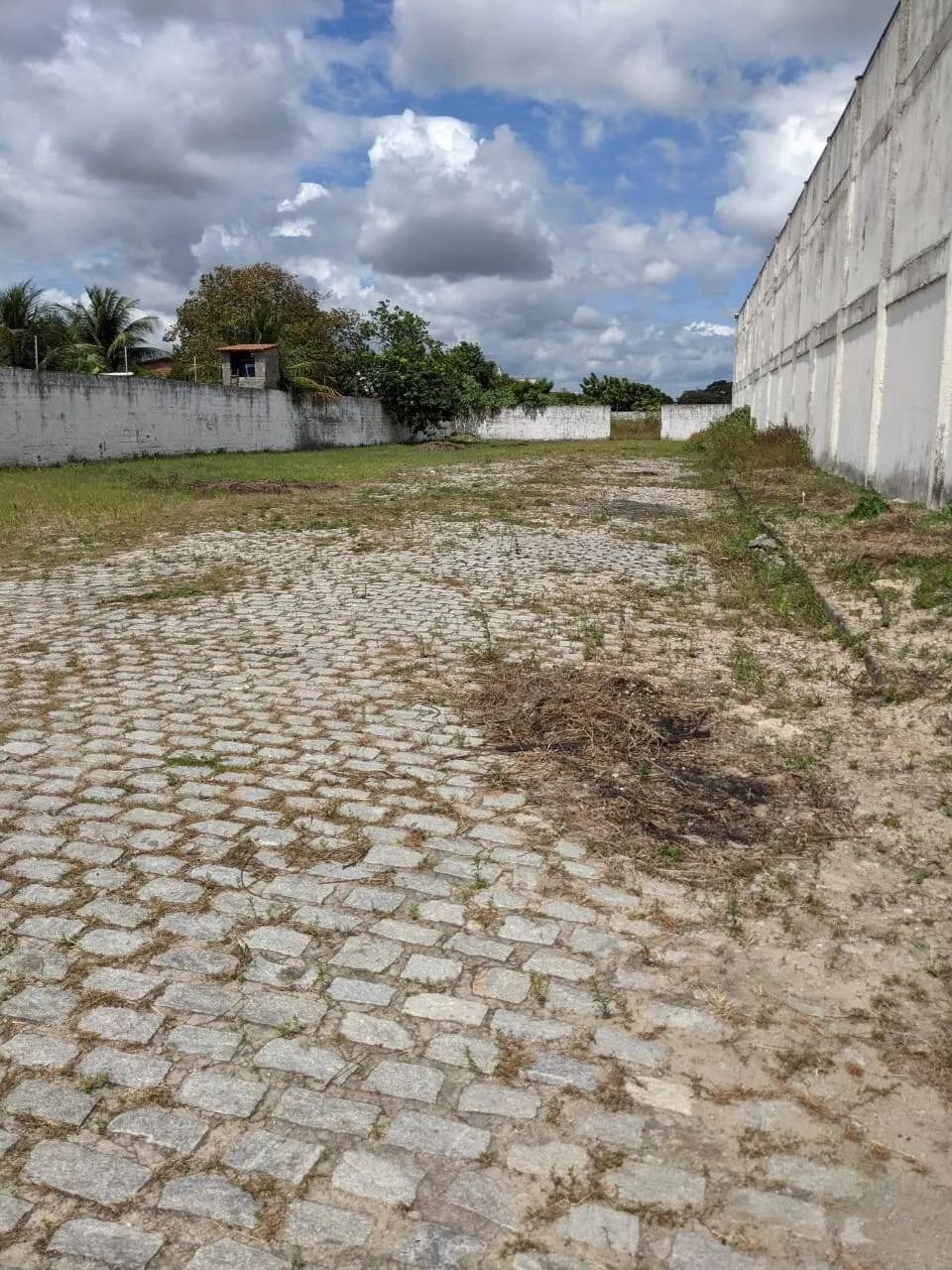 Excelentes galpões com acesso a BR 116 a locação! - Foto 3