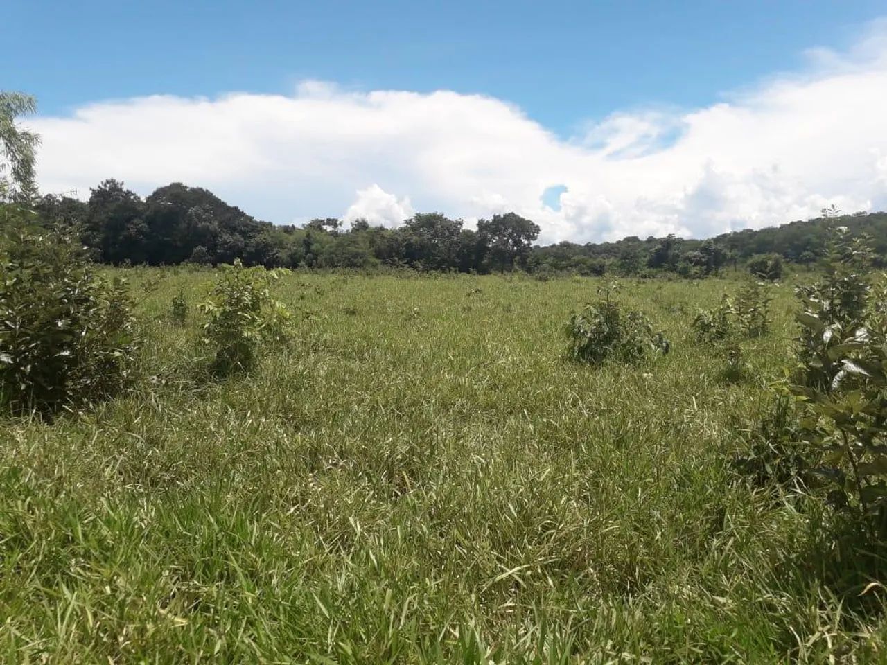 Fazenda para Venda em Barrolândia - Foto 5