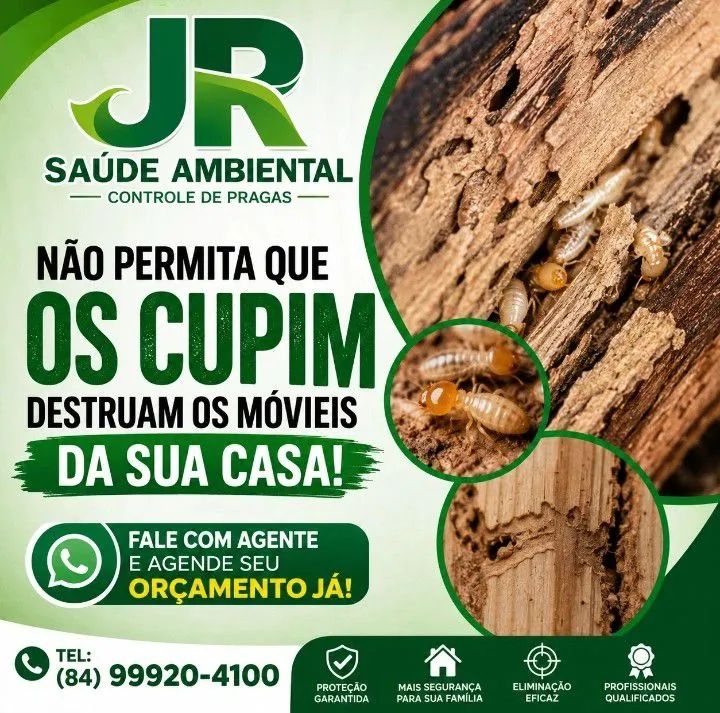 Dedetização  - Foto 3