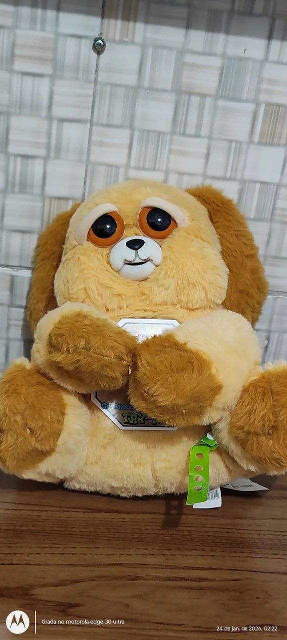 Feisty Br Machine lançamento. ? - Foto 4