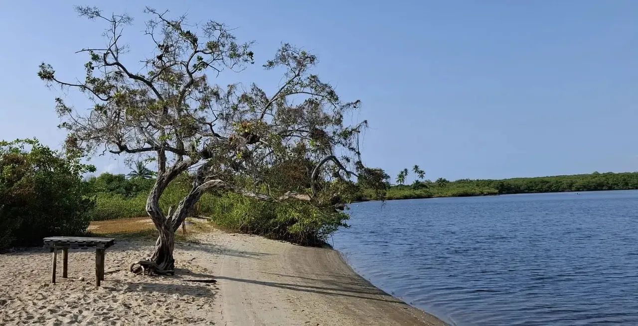 Casa para locação no SOL MARINA, BARRA DO JACUIPE, Camaçari, BA - Foto 10