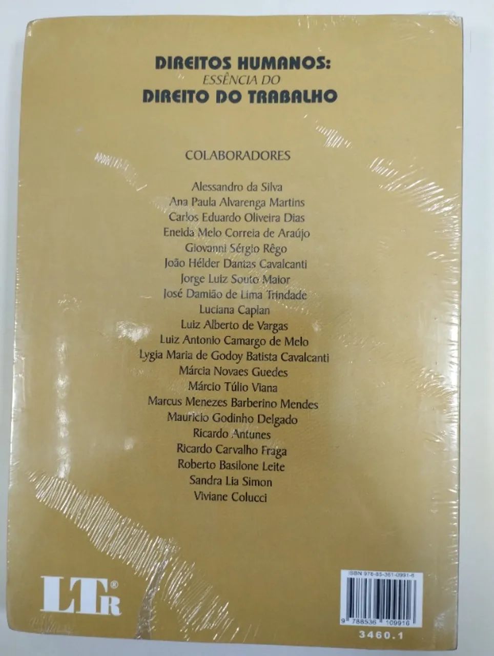 Livro: Direitos humanos: essência do trabalho - Foto 2