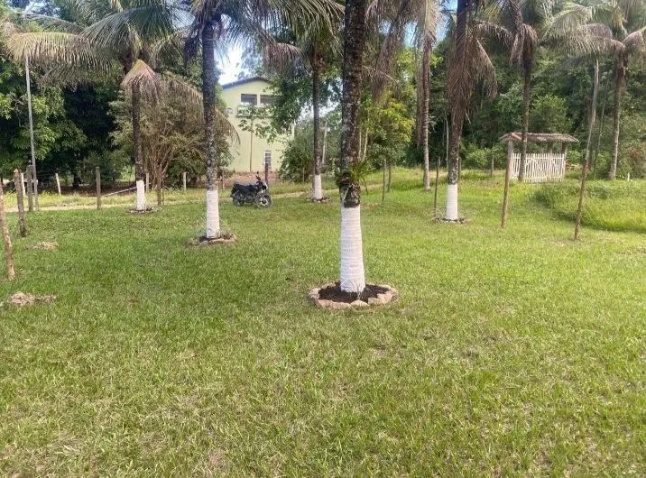 Terreno no minérios/ Tanguá  - Foto 2