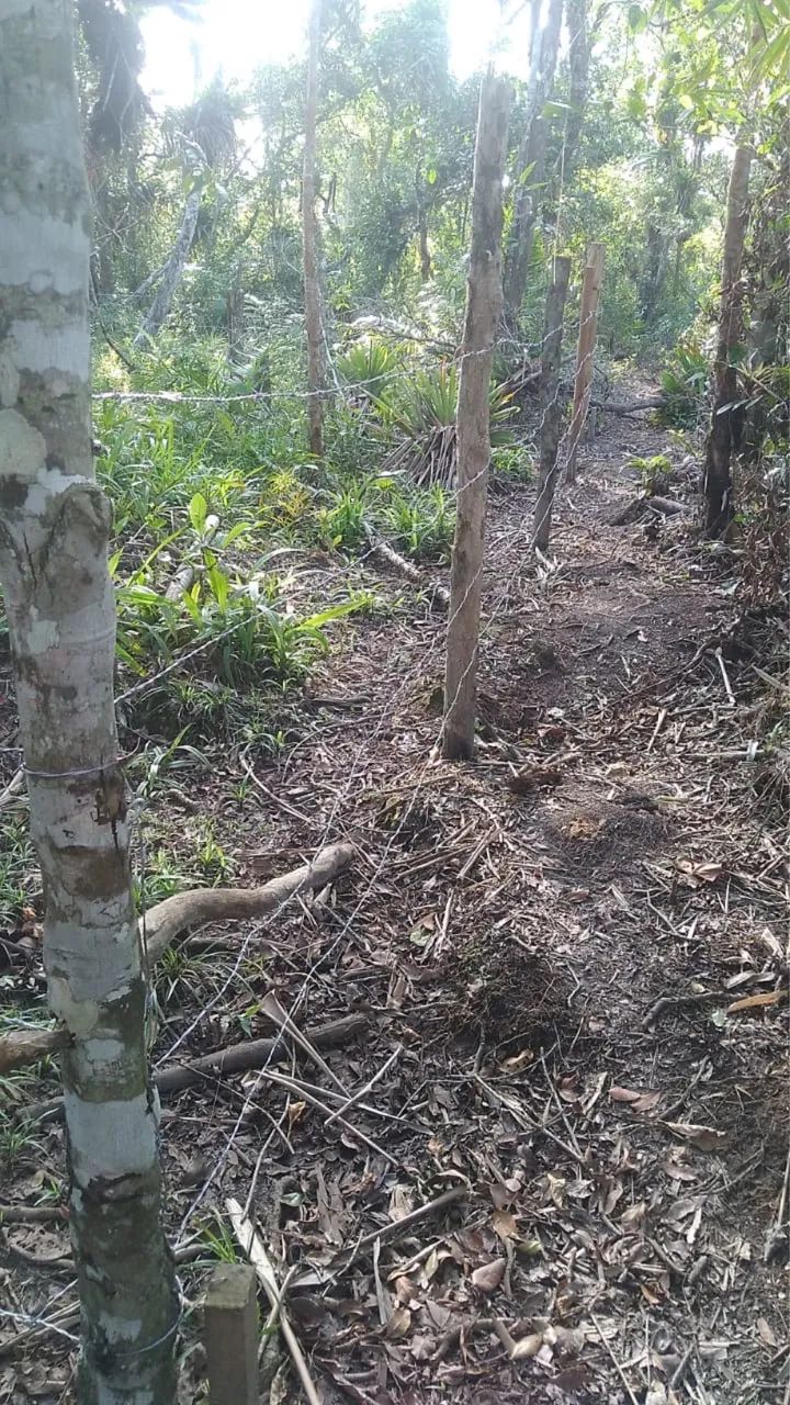 2 TERRENOS ITAPOÁ