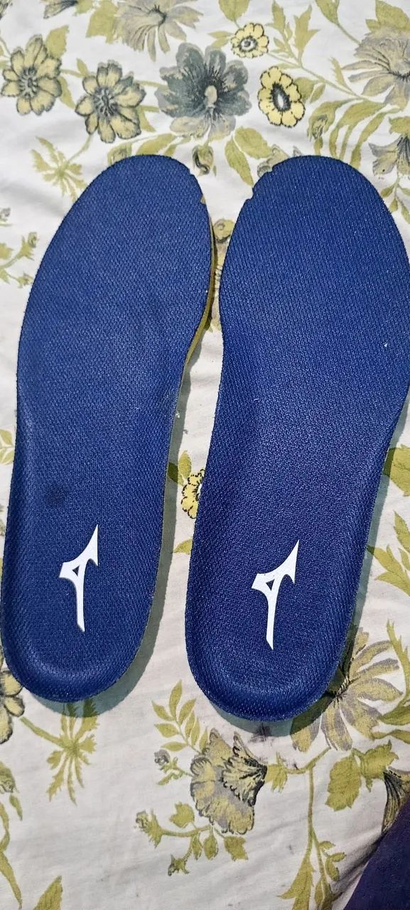 Palmilhas Mizuno original tam 40.