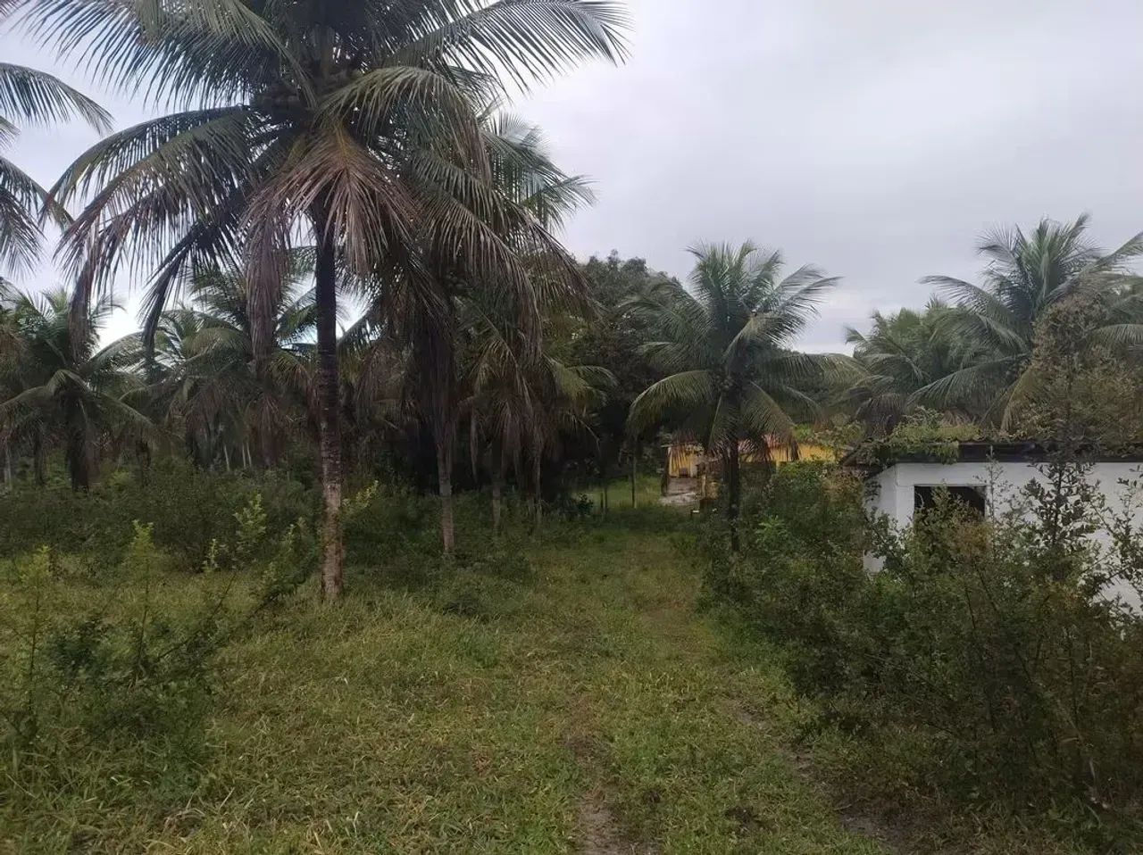 VENDO CHÁCARA COM ESCRITURA - Foto 5