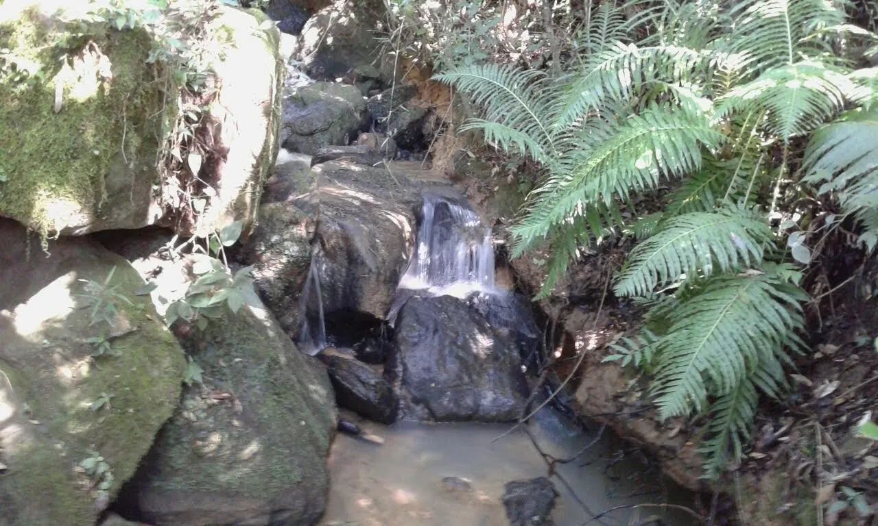 Terreno 47.000m² com Cachoeira, Nascente e Escritura - Alfredo Wagner/SC.