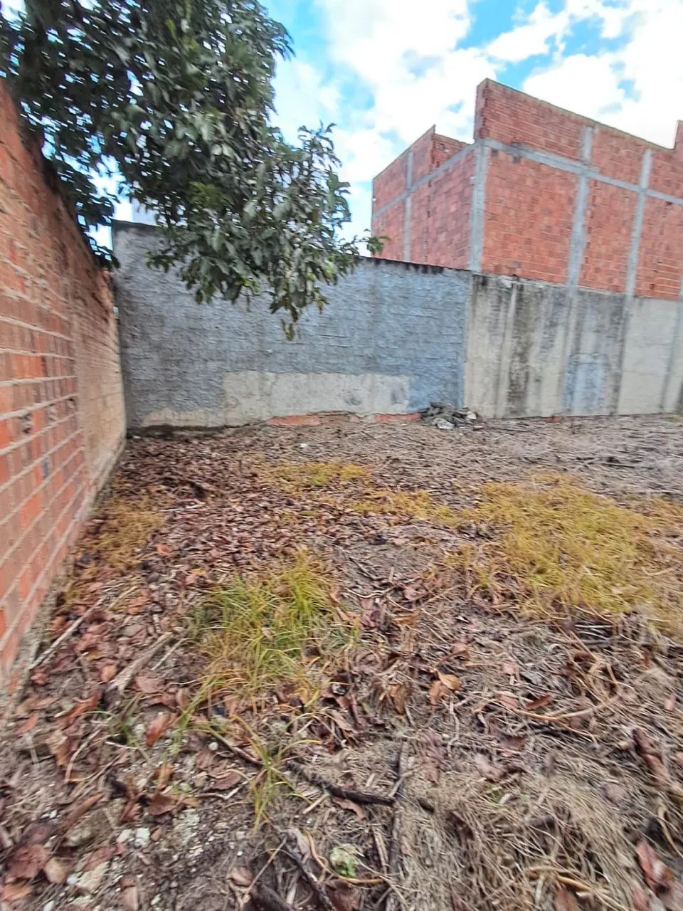 Vendo Terreno na Colônia Treze - Foto 3